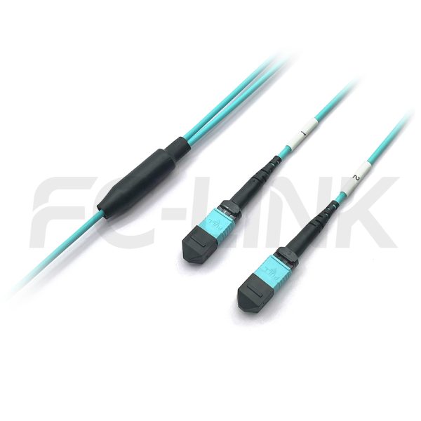 MPO Breakout Cable, 2 x MPO-12 PC/APC(Female/Male) to 2 x MPO-12 PC/APC(Female/Male), 24 Fibers, Multimode(OM3),0.35dB Max, Aqua
