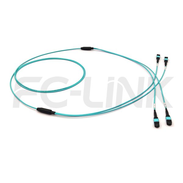 MPO Breakout Cable, 2 x MPO-12 PC/APC(Female/Male) to 2 x MPO-12 PC/APC(Female/Male), 24 Fibers, Multimode(OM3),0.35dB Max, Aqua