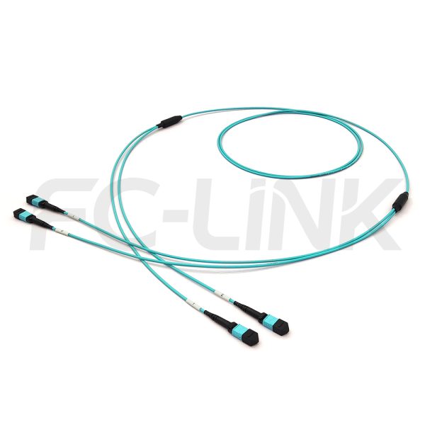 MPO Breakout Cable, 2 x MPO-12 PC/APC(Female/Male) to 2 x MPO-12 PC/APC(Female/Male), 24 Fibers, Multimode(OM3),0.35dB Max, Aqua