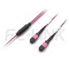 MPO Breakout Cable, 2 x MPO-12 PC/APC(Female/Male) to 2 x MPO-12 PC/APC(Female/Male), 24 Fibers, Multimode(OM4),0.35dB Max, Aqua/Violet