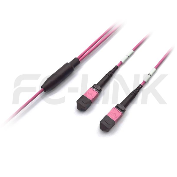MPO Breakout Cable, 2 x MPO-12 PC/APC(Female/Male) to 2 x MPO-12 PC/APC(Female/Male), 24 Fibers, Multimode(OM4),0.35dB Max, Aqua/Violet