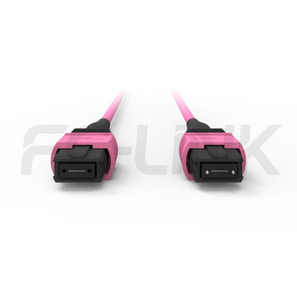 MPO Breakout Cable, 2 x MPO-12 PC/APC(Female/Male) to 2 x MPO-12 PC/APC(Female/Male), 24 Fibers, Multimode(OM4),0.35dB Max, Aqua/Violet