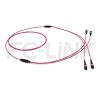 MPO Breakout Cable, 2 x MPO-12 PC/APC(Female/Male) to 2 x MPO-12 PC/APC(Female/Male), 24 Fibers, Multimode(OM4),0.35dB Max, Aqua/Violet