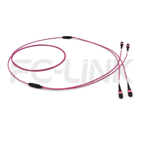 MPO Breakout Cable, 2 x MPO-12 PC/APC(Female/Male) to 2 x MPO-12 PC/APC(Female/Male), 24 Fibers, Multimode(OM4),0.35dB Max, Aqua/Violet