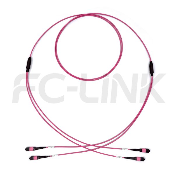 MPO Breakout Cable, 2 x MPO-12 PC/APC(Female/Male) to 2 x MPO-12 PC/APC(Female/Male), 24 Fibers, Multimode(OM4),0.35dB Max, Aqua/Violet
