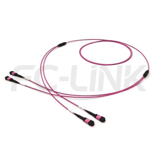 2-mpo12-2-mpo12-om4-mm-breakout-cable-main-1 MPO Breakout Cable, 2 x MPO-12 PC/APC(Female/Male) to 2 x MPO-12 PC/APC(Female/Male), 24 Fibers, Multimode(OM4),0.35dB Max, Aqua/Violet