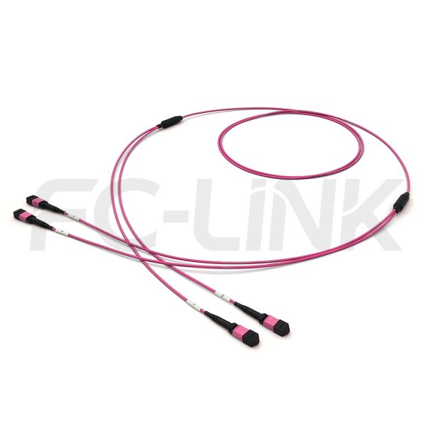 MPO Breakout Cable, 2 x MPO-12 PC/APC(Female/Male) to 2 x MPO-12 PC/APC(Female/Male), 24 Fibers, Multimode(OM4),0.35dB Max, Aqua/Violet