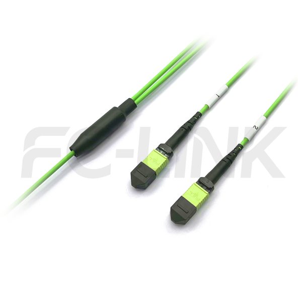 MPO Breakout Cable, 2 x MPO-12 PC/APC(Female/Male) to 2 x MPO-12 PC/APC(Female/Male), 24 Fibers, Multimode(OM5),0.35dB Max, Lime Green