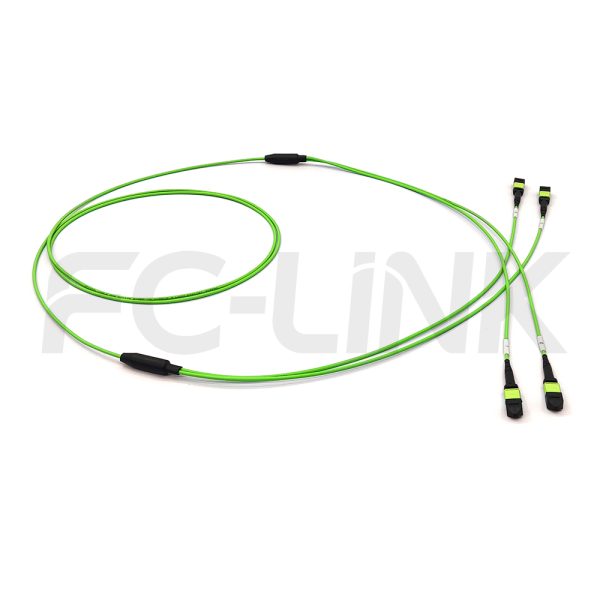 MPO Breakout Cable, 2 x MPO-12 PC/APC(Female/Male) to 2 x MPO-12 PC/APC(Female/Male), 24 Fibers, Multimode(OM5),0.35dB Max, Lime Green