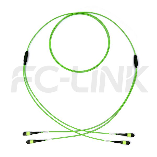 MPO Breakout Cable, 2 x MPO-12 PC/APC(Female/Male) to 2 x MPO-12 PC/APC(Female/Male), 24 Fibers, Multimode(OM5),0.35dB Max, Lime Green