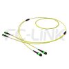 MPO Breakout Cable, 2 x MPO-12 APC(Female/Male) to 2 x MPO-12 APC(Female/Male), 24 Fibers, Singlemode(OS2),0.35dB Max, Yellow