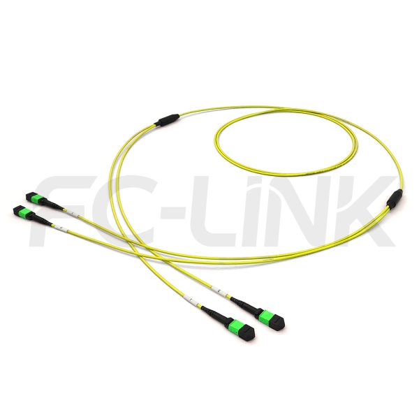 MPO Breakout Cable, 2 x MPO-12 APC(Female/Male) to 2 x MPO-12 APC(Female/Male), 24 Fibers, Singlemode(OS2),0.35dB Max, Yellow