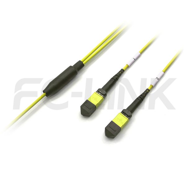 MPO Breakout Cable, 2 x MPO-12 APC(Female/Male) to 2 x MPO-12 APC(Female/Male), 24 Fibers, Singlemode(OS2),0.35dB Max, Yellow