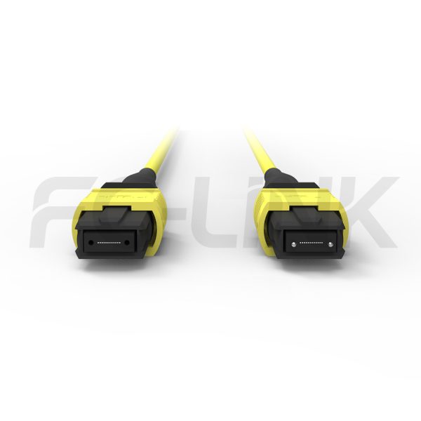 MPO Breakout Cable, 2 x MPO-12 APC(Female/Male) to 2 x MPO-12 APC(Female/Male), 24 Fibers, Singlemode(OS2),0.35dB Max, Yellow