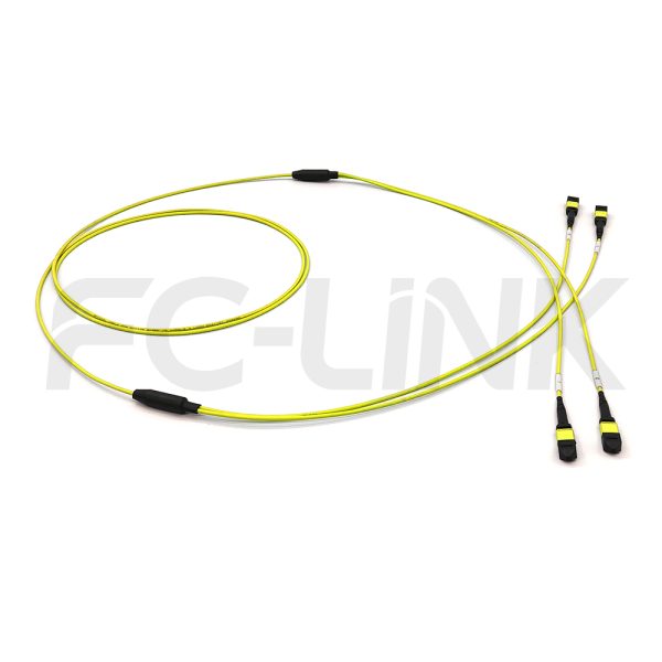 MPO Breakout Cable, 2 x MPO-12 APC(Female/Male) to 2 x MPO-12 APC(Female/Male), 24 Fibers, Singlemode(OS2),0.35dB Max, Yellow