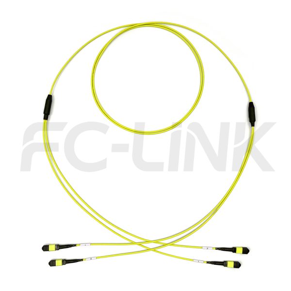 MPO Breakout Cable, 2 x MPO-12 APC(Female/Male) to 2 x MPO-12 APC(Female/Male), 24 Fibers, Singlemode(OS2),0.35dB Max, Yellow