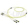 MPO Breakout Cable, 2 x MPO-12 APC(Female/Male) to 2 x MPO-12 APC(Female/Male), 24 Fibers, Singlemode(OS2),0.35dB Max, Yellow