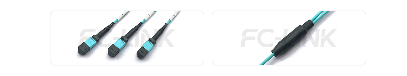 MPO Breakout Cable, 2 x MPO-12 PC/APC(Female/Male) to 3 x MPO-8 PC/APC(Female/Male), 24 Fibers, Multimode(OM3),0.35dB Max, Aqua