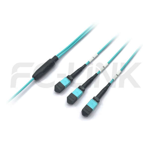 MPO Breakout Cable, 2 x MPO-12 PC/APC(Female/Male) to 3 x MPO-8 PC/APC(Female/Male), 24 Fibers, Multimode(OM3),0.35dB Max, Aqua