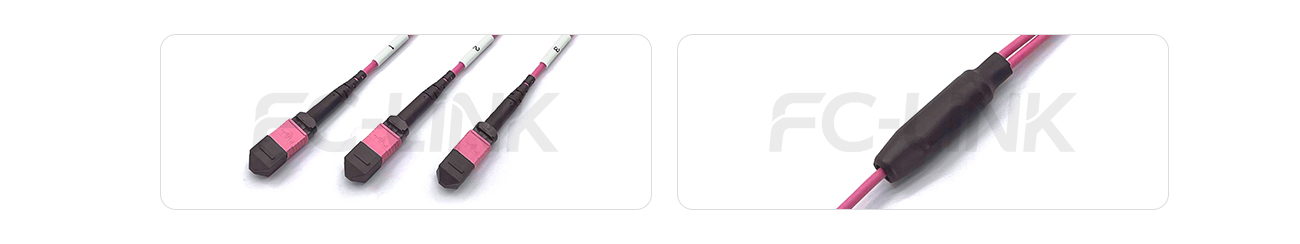 MPO Breakout Cable, 2 x MPO-12 PC/APC(Female/Male) to 3 x MPO-8 PC/APC(Female/Male), 24 Fibers, Multimode(OM4),0.35dB Max, Aqua/Violet