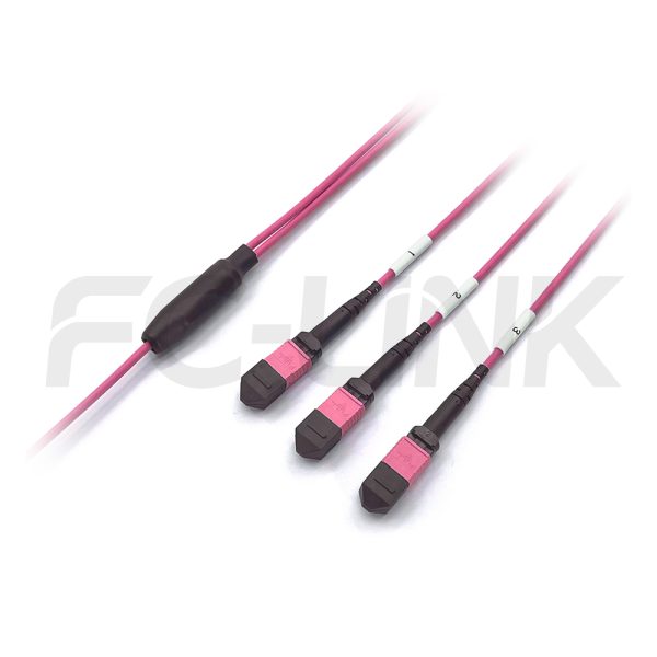 MPO Breakout Cable, 2 x MPO-12 PC/APC(Female/Male) to 3 x MPO-8 PC/APC(Female/Male), 24 Fibers, Multimode(OM4),0.35dB Max, Aqua/Violet