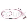 MPO Breakout Cable, 2 x MPO-12 PC/APC(Female/Male) to 3 x MPO-8 PC/APC(Female/Male), 24 Fibers, Multimode(OM4),0.35dB Max, Aqua/Violet