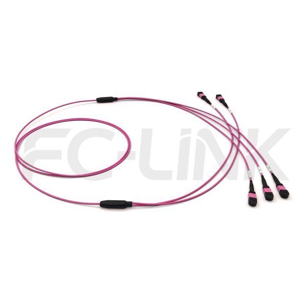 MPO Breakout Cable, 2 x MPO-12 PC/APC(Female/Male) to 3 x MPO-8 PC/APC(Female/Male), 24 Fibers, Multimode(OM4),0.35dB Max, Aqua/Violet