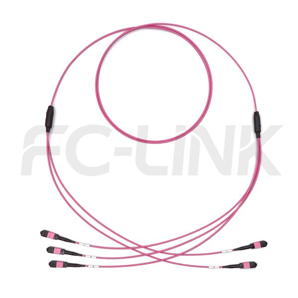 MPO Breakout Cable, 2 x MPO-12 PC/APC(Female/Male) to 3 x MPO-8 PC/APC(Female/Male), 24 Fibers, Multimode(OM4),0.35dB Max, Aqua/Violet