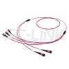 MPO Breakout Cable, 2 x MPO-12 PC/APC(Female/Male) to 3 x MPO-8 PC/APC(Female/Male), 24 Fibers, Multimode(OM4),0.35dB Max, Aqua/Violet