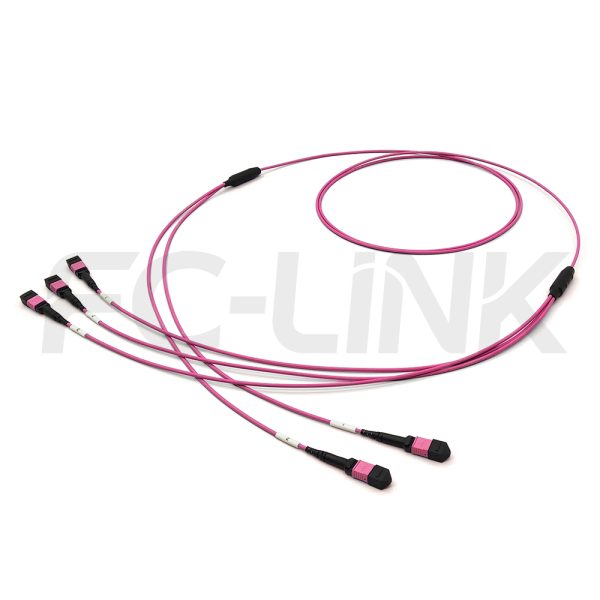 MPO Breakout Cable, 2 x MPO-12 PC/APC(Female/Male) to 3 x MPO-8 PC/APC(Female/Male), 24 Fibers, Multimode(OM4),0.35dB Max, Aqua/Violet