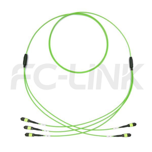 MPO Breakout Cable, 2 x MPO-12 PC/APC(Female/Male) to 3 x MPO-8 PC/APC(Female/Male), 24 Fibers, Multimode(OM5),0.35dB Max, Lime Green