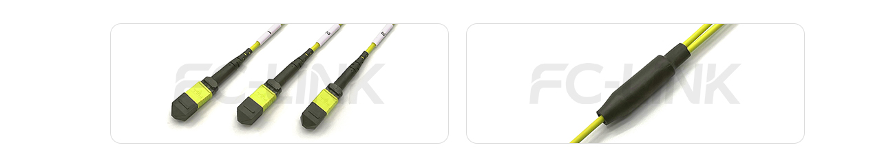 MPO Breakout Cable, 2 x MPO-12 APC(Female/Male) to 3 x MPO-8 APC(Female/Male), 24 Fibers, Singlemode(OS2),0.35dB Max, Yellow