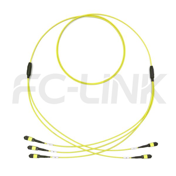 MPO Breakout Cable, 2 x MPO-12 APC(Female/Male) to 3 x MPO-8 APC(Female/Male), 24 Fibers, Singlemode(OS2),0.35dB Max, Yellow