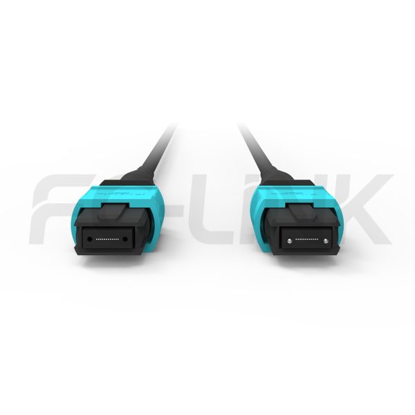 mpo-12-fibers-om3-mm-armored-jumper-gallery-1 Armored MPO-12 Fiber Optic Cable - MPO to MPO OM3 Multimode, 12-Fiber Armored Jumper Cord, for 40G/100G/200G/400G, PC/APC Polish (Female/Male), Type A/B/C, Aqua