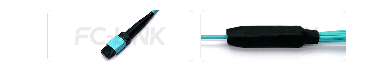 MPO Harness Cable, MPO-12 PC/APC(Female/Male) to LC PC/APC, 12 Fibers, Multimode(OM3), 0.35dB Max, Type A/AF/B/U, Aqua