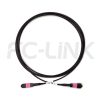 mpo-12-fibers-om4-mm-armored-jumper-gallery-5 Armored MPO-12 Fiber Optic Cable - MPO to MPO OM4 Multimode, 12-Fiber Armored Jumper Cord, for 40G/100G/200G/400G Extended Reach, PC/APC Polish (Female/Male), Type A/B/C, Aqua/Violet