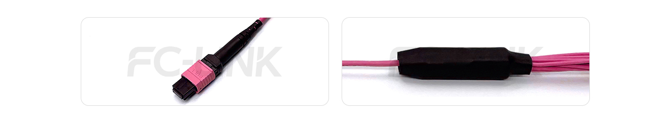 MPO Harness Cable, MPO-12 PC/APC(Female/Male) to LC PC/APC, 12 Fibers, Multimode(OM4), 0.35dB Max, Type A/AF/B/U, Aqua/Violet