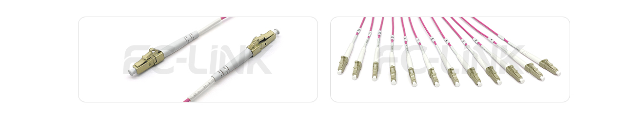 MPO Harness Cable, MPO-12 PC/APC(Female/Male) to LC PC/APC, 12 Fibers, Multimode(OM4), 0.35dB Max, Type A/AF/B/U, Aqua/Violet