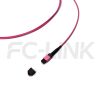 mpo-12-fibers-om4-mm-harness-cable-gallery-1 MPO Harness Cable, MPO-12 PC/APC(Female/Male) to LC PC/APC, 12 Fibers, Multimode(OM4), 0.35dB Max, Type A/AF/B/U, Aqua/Violet