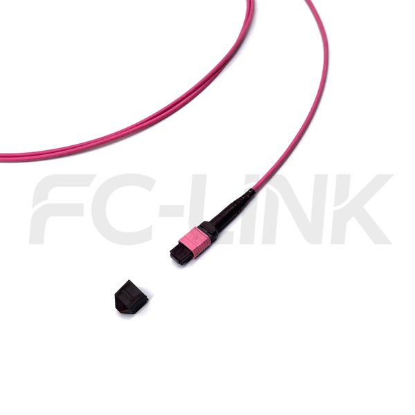 mpo-12-fibers-om4-mm-harness-cable-gallery-1 MPO Harness Cable, MPO-12 PC/APC(Female/Male) to LC PC/APC, 12 Fibers, Multimode(OM4), 0.35dB Max, Type A/AF/B/U, Aqua/Violet