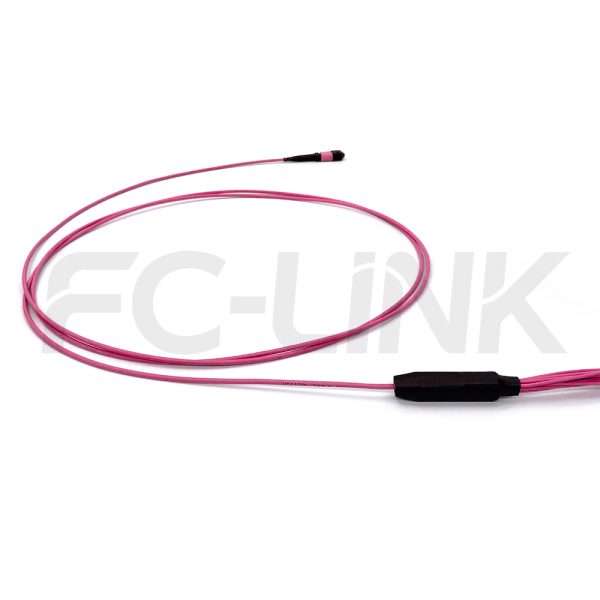mpo-12-fibers-om4-mm-harness-cable-gallery-4 MPO Harness Cable, MPO-12 PC/APC(Female/Male) to LC PC/APC, 12 Fibers, Multimode(OM4), 0.35dB Max, Type A/AF/B/U, Aqua/Violet