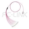 mpo-12-fibers-om4-mm-harness-cable-gallery-5 MPO Harness Cable, MPO-12 PC/APC(Female/Male) to LC PC/APC, 12 Fibers, Multimode(OM4), 0.35dB Max, Type A/AF/B/U, Aqua/Violet