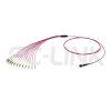 mpo-12-fibers-om4-mm-harness-cable-main-1 MPO Harness Cable, MPO-12 PC/APC(Female/Male) to LC PC/APC, 12 Fibers, Multimode(OM4), 0.35dB Max, Type A/AF/B/U, Aqua/Violet