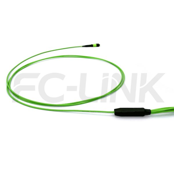 mpo-12-fibers-om5-mm-harness-cable-gallery-4 MPO Harness Cable, MPO-12 PC/APC(Female/Male) to LC PC/APC, 12 Fibers, Multimode(OM5), 0.35dB Max, Type A/AF/B/U, Lime Green