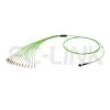 mpo-12-fibers-om5-mm-harness-cable-main-1 MPO Harness Cable, MPO-12 PC/APC(Female/Male) to LC PC/APC, 12 Fibers, Multimode(OM5), 0.35dB Max, Type A/AF/B/U, Lime Green