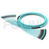 mpo-144-fibers-base-12-trunk-cable-main-1 MPO-144 Trunk Cable - 144 Fiber Main Trunk Cord, Base-12, Supports OS2/OM3/OM4/OM5, for Maximum Density Backbone, PC/APC Polish (Female/Male), Type A/B/C
