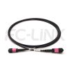 mpo-16-fibers-om4-mm-armored-jumper-gallery-4 Armored MPO-16 Fiber Optic Cable - MPO to MPO OM4 Multimode, 16-Fiber Armored Jumper Cord, for 400G/800G SR8 Extended Reach, PC/APC Polish (Female/Male), Type B, Aqua/Violet