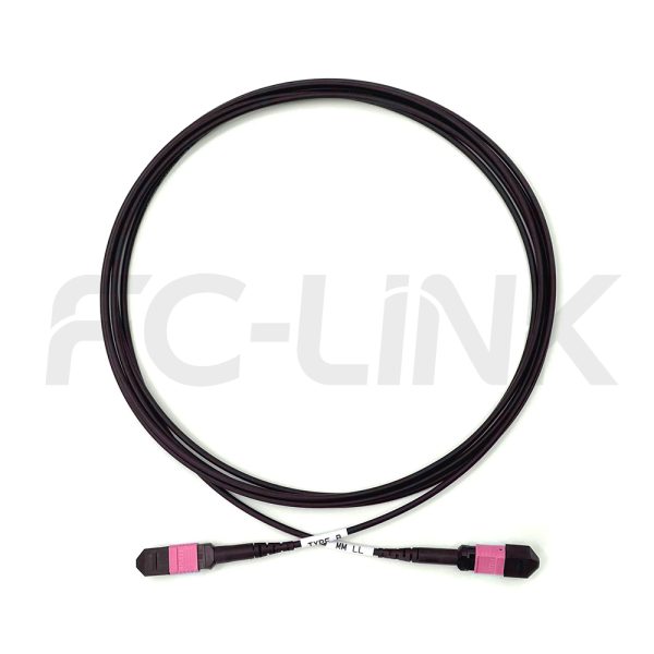 mpo-16-fibers-om4-mm-armored-jumper-gallery-5 Armored MPO-16 Fiber Optic Cable - MPO to MPO OM4 Multimode, 16-Fiber Armored Jumper Cord, for 400G/800G SR8 Extended Reach, PC/APC Polish (Female/Male), Type B, Aqua/Violet