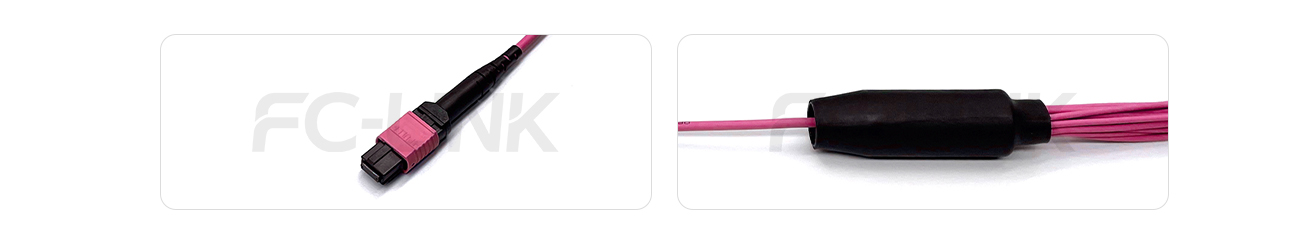 MPO Harness Cable, MPO-16 PC/APC(Female/Male) to LC PC/APC, 16 Fibers, Multimode(OM4), 0.35dB Max, Type B, Aqua/Violet