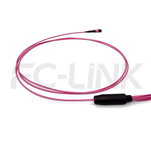 mpo-16-fibers-om4-mm-harness-cable-gallery-4 MPO Harness Cable, MPO-16 PC/APC(Female/Male) to LC PC/APC, 16 Fibers, Multimode(OM4), 0.35dB Max, Type B, Aqua/Violet
